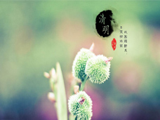 清明時節(jié)雨紛紛，路上行人欲斷魂