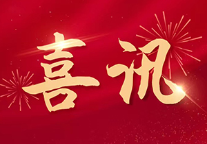 砥礪奮進(jìn),再譜新篇—熱烈祝賀施奈仕榮獲廣東省“專(zhuān)精特新”榮譽(yù)稱(chēng)號(hào)
