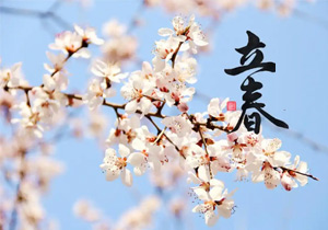 立春新啟，施奈仕共赴春日征程