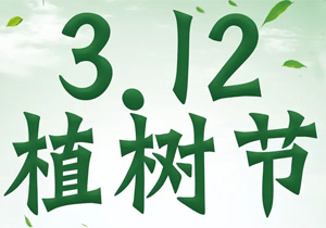 植樹節(jié)：“植”此青綠，共赴春光