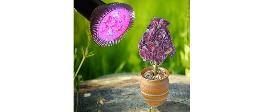 LED植物生長燈吸潮短路、起霉怎么辦？快用線路板電防膠.jpg
