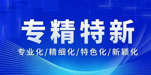 榮譽稱號,專精特新企業(yè),企業(yè)榮譽